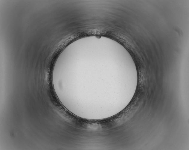 X0000113040258200909241440