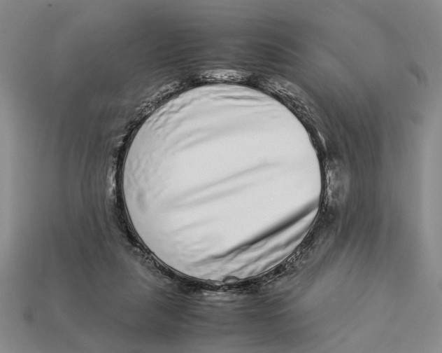 X0000113040259200909241440