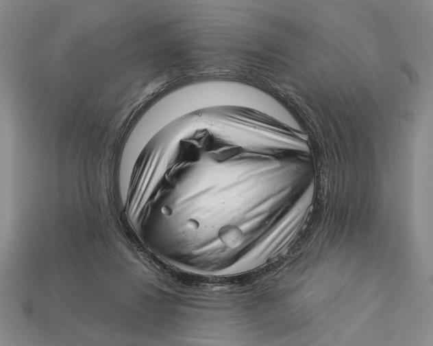 X0000113040260200909241440