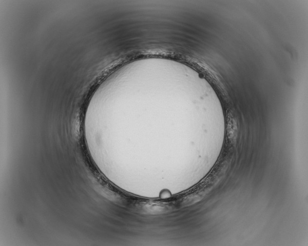 X0000113040261200909241440