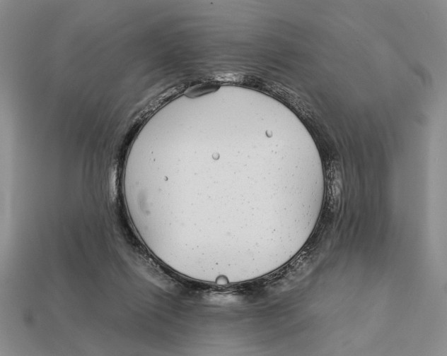 X0000113040262200909241440