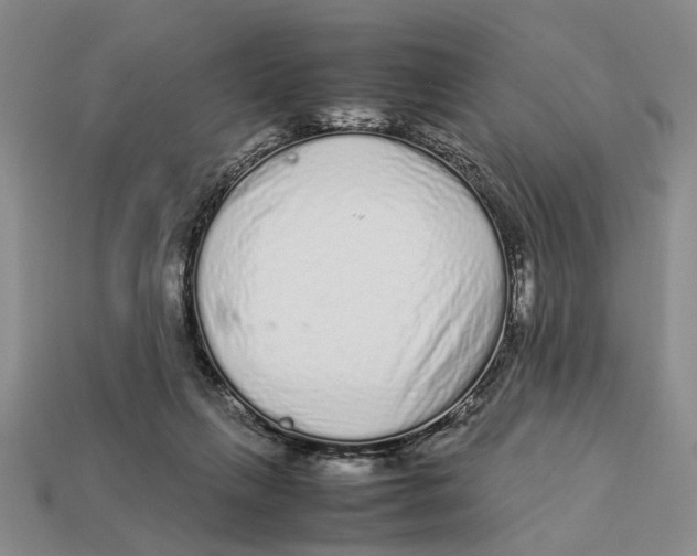 X0000113040263200909241440