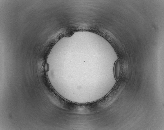X0000113040264200909241440