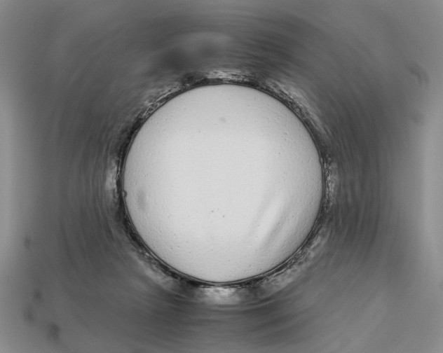 X0000113040265200909241440