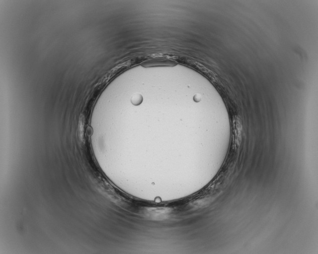 X0000113040266200909241440