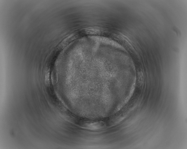 X0000113040267200909241440