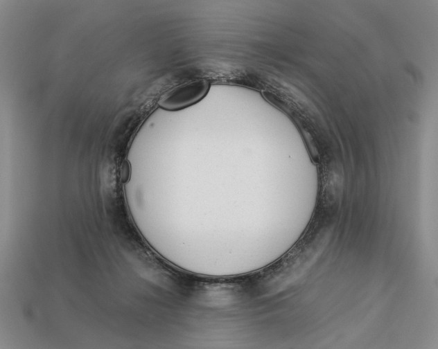 X0000113040268200909241440