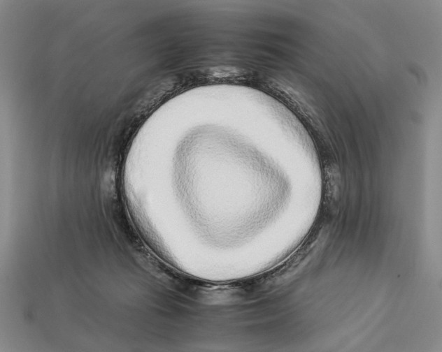 X0000113040269200909241440