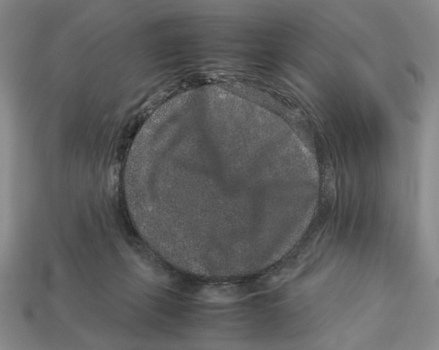 X0000113040271200909241440