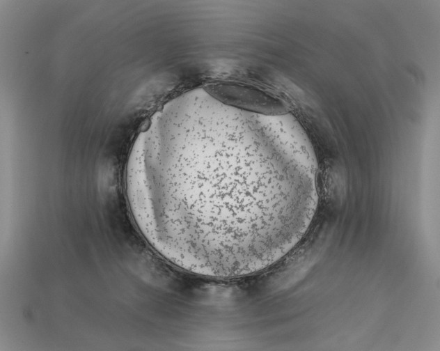 X0000113040272200909241440