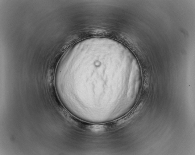 X0000113040273200909241440