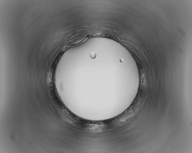 X0000113040274200909241440