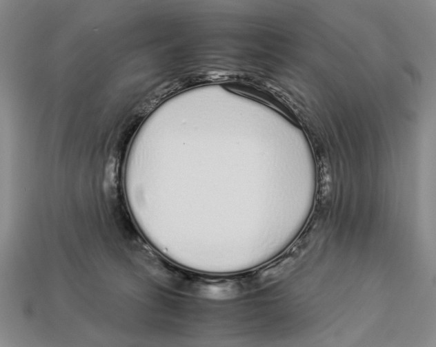 X0000113040275200909241440