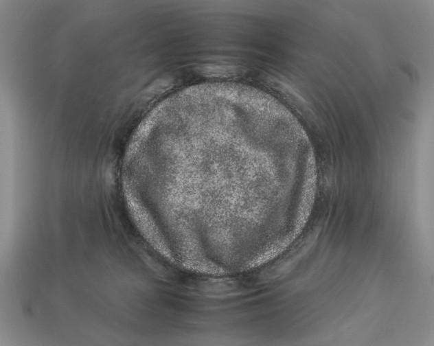 X0000113040277200909241441