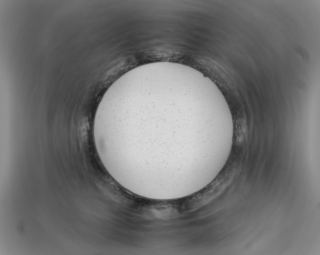 X0000113040279200909241441