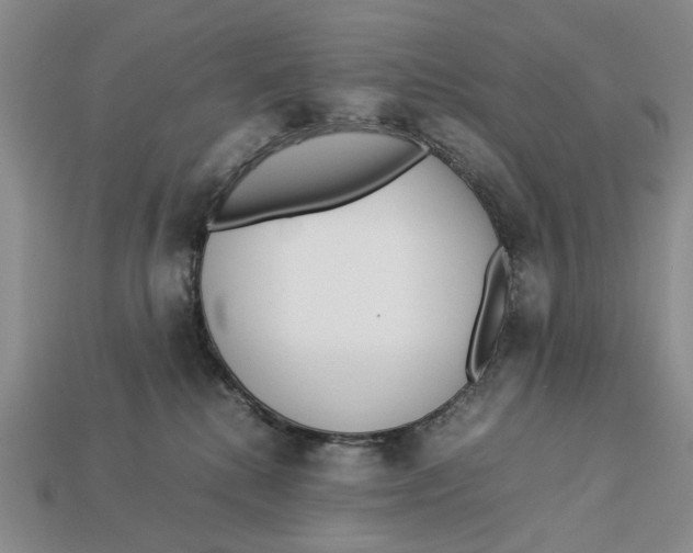 X0000113040280200909241441