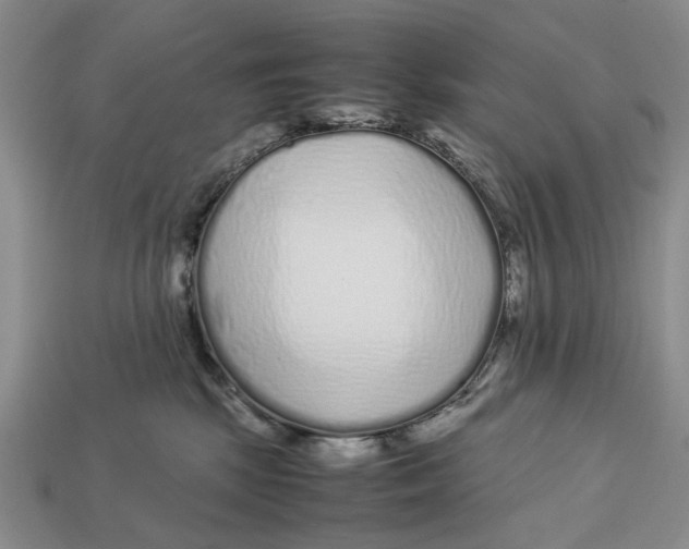 X0000113040281200909241441