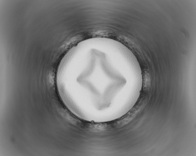X0000113040282200909241441