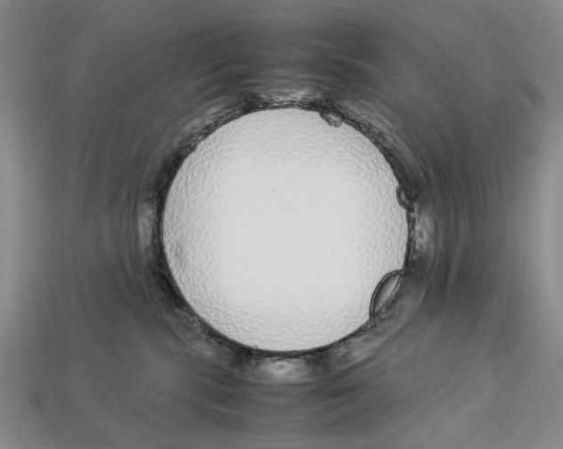 X0000113040283200909241441