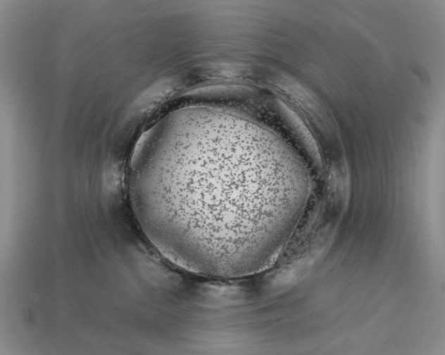 X0000113040284200909241441