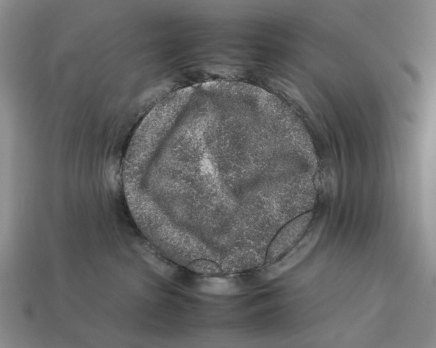 X0000113040285200909241441
