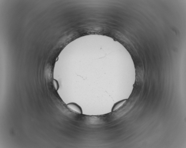 X0000113040287200909241441