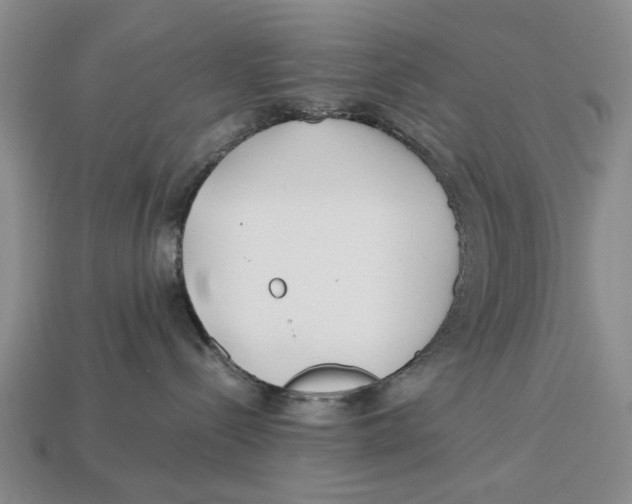X0000113040288200909241441