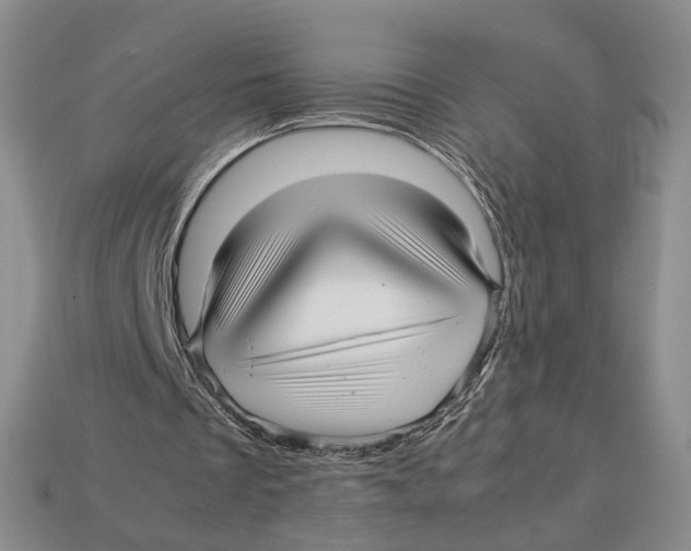 X0000113040289200909241440