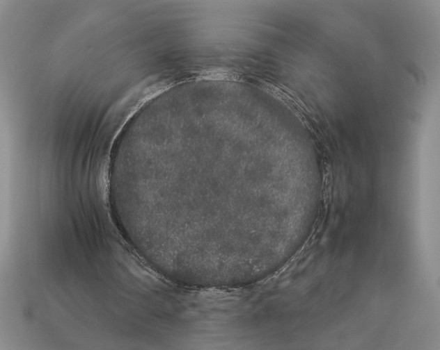 X0000113040290200909241440