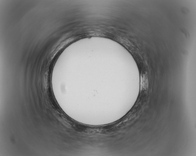 X0000113040291200909241440