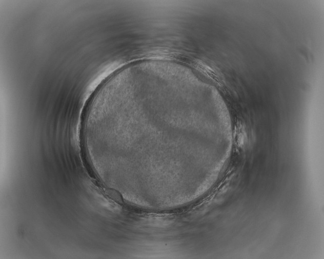 X0000113040292200909241440
