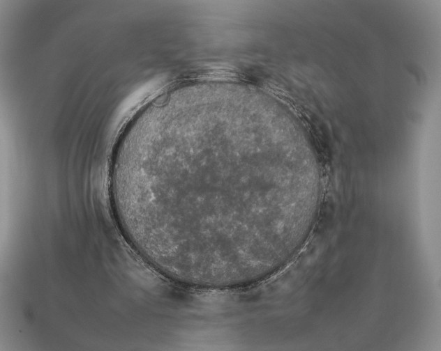 X0000113040293200909241440