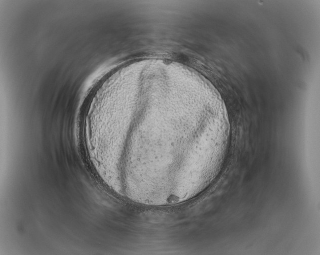 X0000113040294200909241440