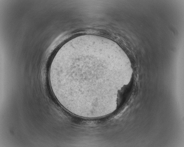 X0000113040295200909241440
