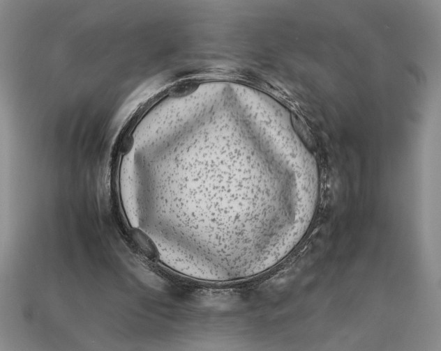 X0000113040296200909241440