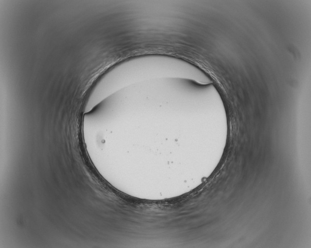 X0000113040297200909241440