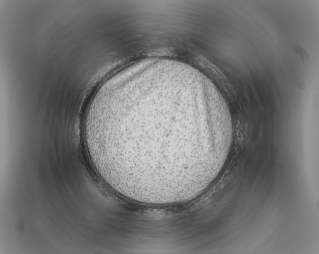 X0000113040298200909241440