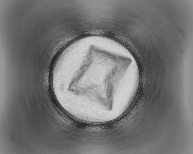 X0000113040299200909241440