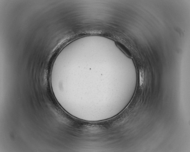 X0000113040300200909241440