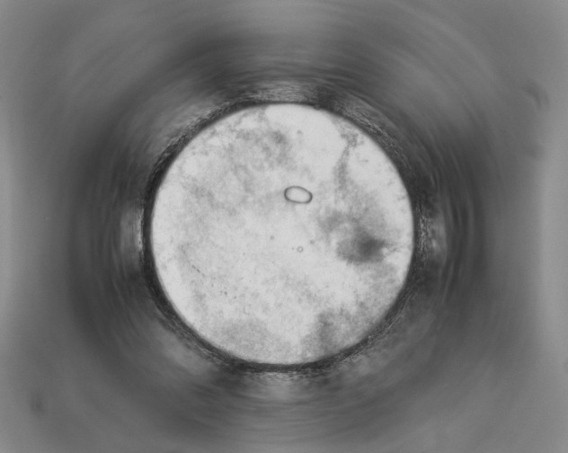 X0000113040302200909241440