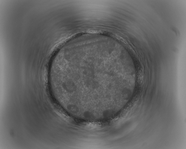 X0000113040303200909241440