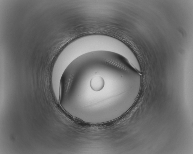 X0000113040305200909241440