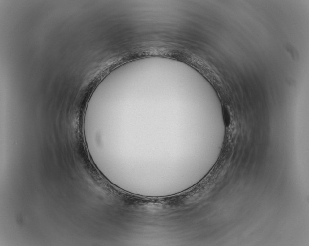 X0000113040306200909241440