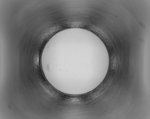 X0000113040310200909241440