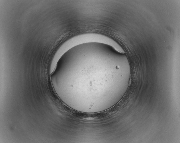X0000113040312200909241440
