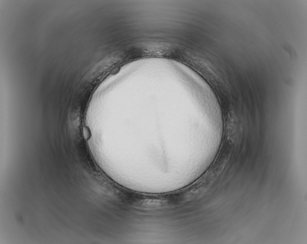 X0000113040314200909241440