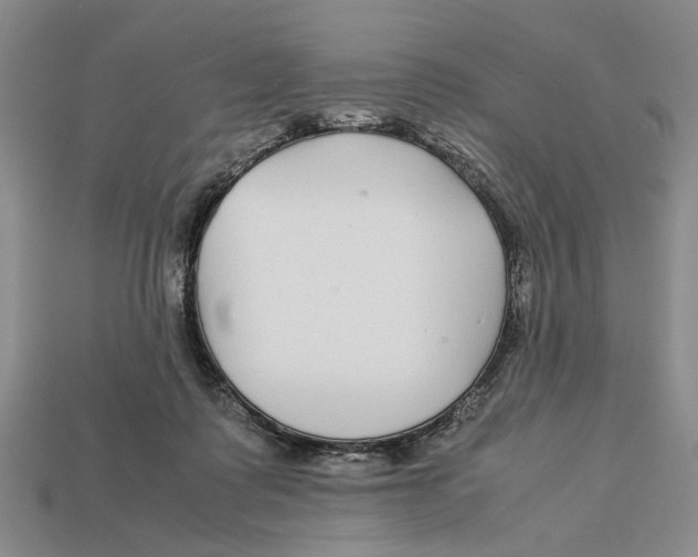 X0000113040315200909241440