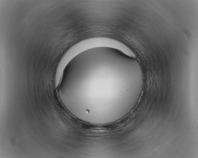X0000113040316200909241440