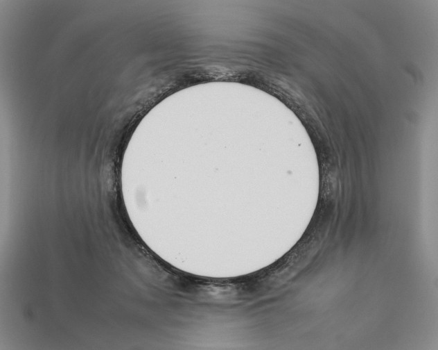 X0000113040317200909241440
