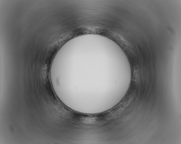 X0000113040318200909241440